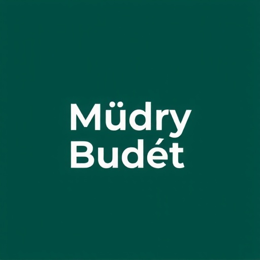 Mądry Budżet Logo